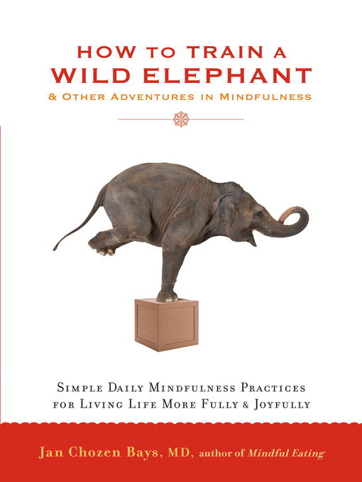 Title details for How to Train a Wild Elephant by Jan Chozen Bays - Available